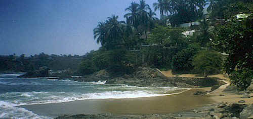 Club de Yates in tropical Manzanillo, Mexico