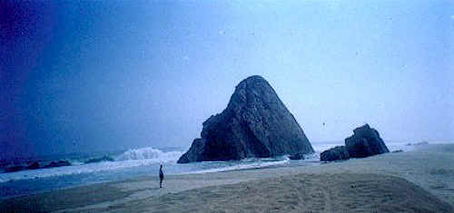 Treasure near the beach in Manzanillo, Mexico