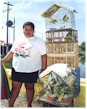 Conures and budgies for sale