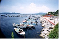 fishing boats waiting in the harbor