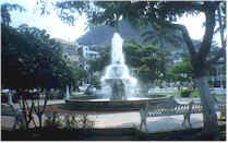 Jardin in Manzanillo