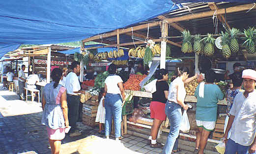 Fresh fruits and vegetables
