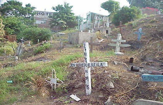 Refuse from last year's Dia de los Muertos