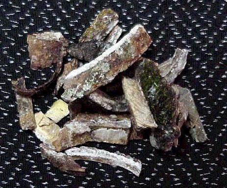 Wood bark of the copal tree