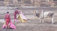 Toreros goad bull