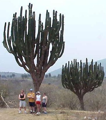 Beginning the climb up from 3,000 ft.