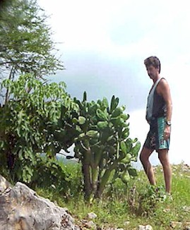 Edible cactus growing at about 4,000 ft.