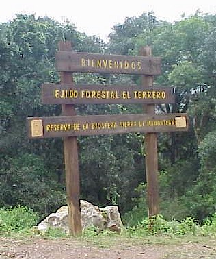 Welcome to 9,000 ft.