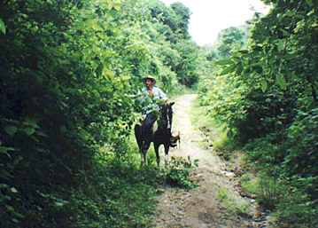 Ricardo and his sure-footed paint
