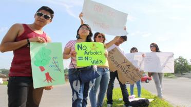 Protesters use recycled paper banners to decree "No trees = no life!"