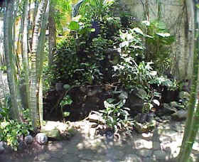 Waterfall at Hotel Hawaii