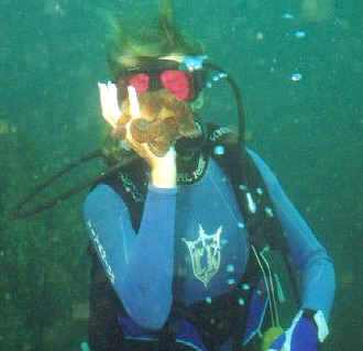 You can gently hold an octopus in your hand