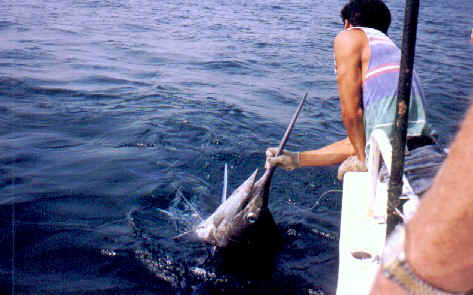 The crew brings him alongside