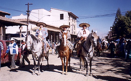 The dancing horses in Manzanillo