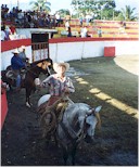 Welcome to Manzanillo