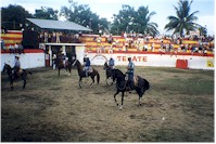 intermission entertainment