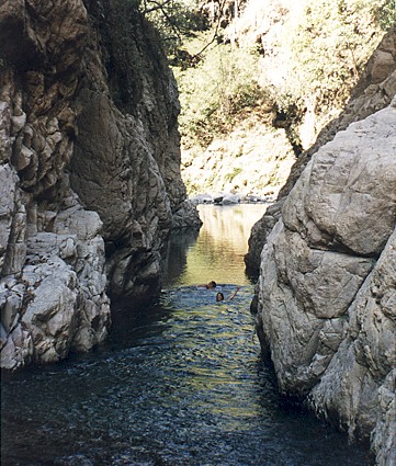 Let's swim the canyon to the grotto