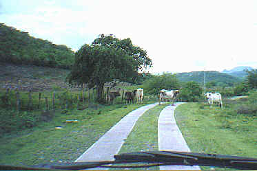 Go slow, the road gets crowded