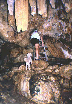 Sunny waiting for Vernon