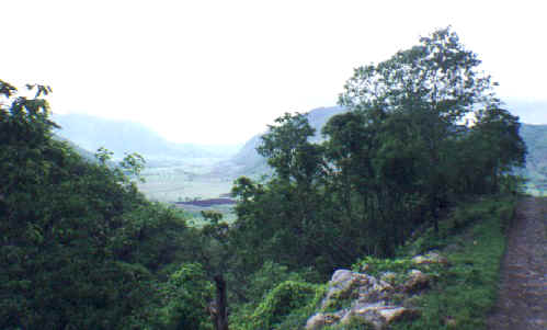 A view from the road