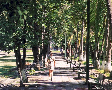 Hidalgo Park established in 1885