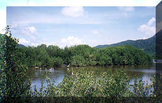 Bring your bird books and binoculars