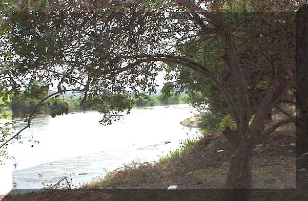 A shady spot for a picnic
