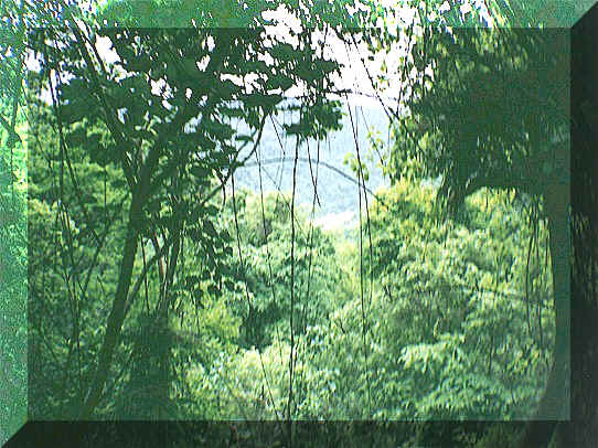 A horseback ride takes you to the top of this mountain