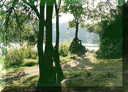 Near the volcano is a beautiful National Park