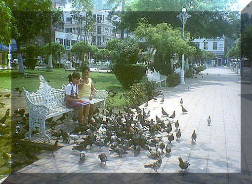 Bring some bread and feed the pigeons