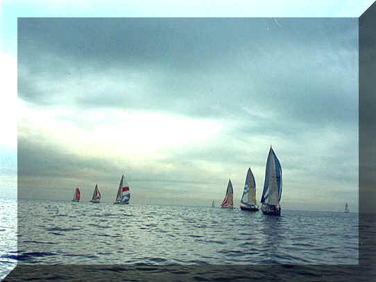 Yacht races are held every other year