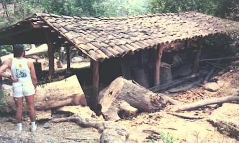 Raicilla still on the road to tropical Manzanillo, Mexico