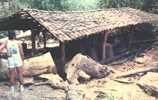 Still for Mexican moonshine