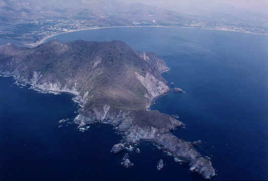 Plenty of variety on Colima's coast