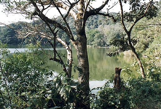 A quiet lake near Manzanillo